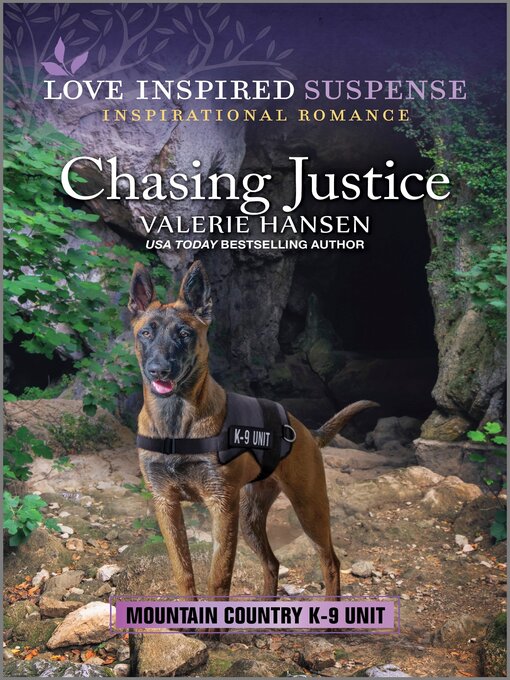 Title details for Chasing Justice by Valerie Hansen - Available